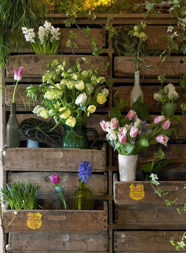Färgstark bukett svenskodlade tulpaner i vas – många sorter för tulpansäsongen i Sverige, från Tulpanens Dag till påsk, närproducerat med miljöhänsyn.