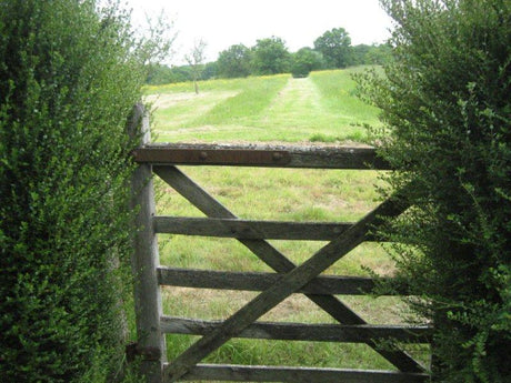 Utblick från grind mot trädgård med rumsbildning: buskar, häck, staket och spaljé ger insynsskydd, öppna vyer och vindskydd. Gångar, sittplats och pergola med nivåskillnader – smart trädgårdsplanering.