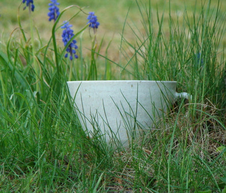 Vårgräs i trädgården – rensa ogräs och gödsla gräsmattan med naturgödsel; rensa jordgubbslandet, plantera vitlök och samplantera vitlök och jordgubbar, beskär rosor.