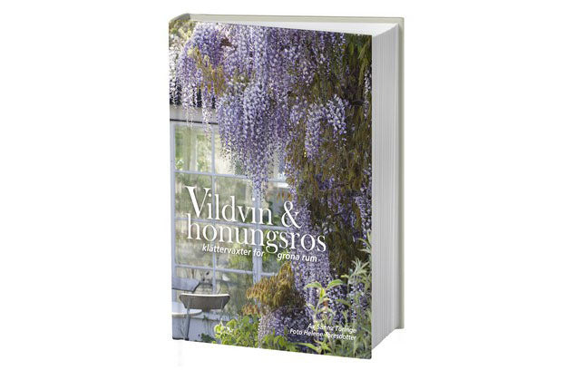 Vildvin som klär en fasad och skapar lummiga gröna rum – klätterväxter för pergola, balkong och uteplats.