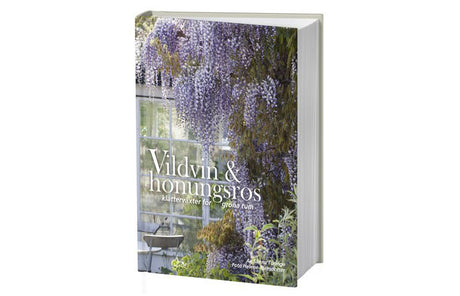 Vildvin som klär en fasad och skapar lummiga gröna rum – klätterväxter för pergola, balkong och uteplats.