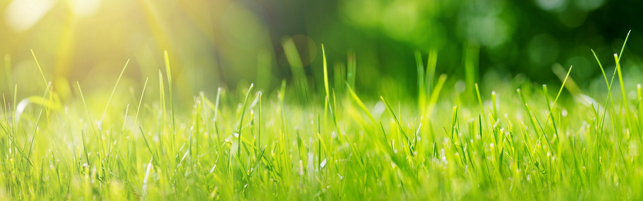 Gräsgödning & Näring