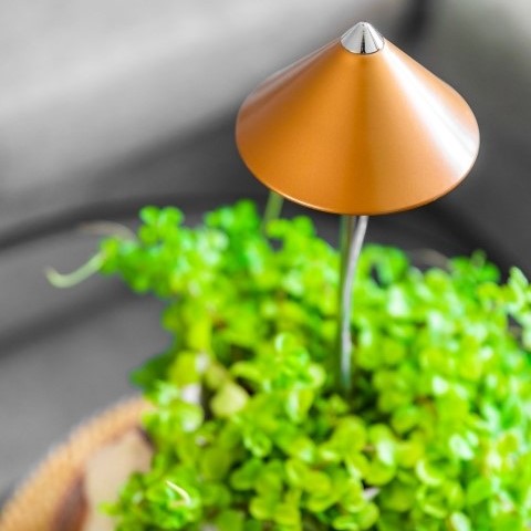 Växtbelysning & Undervärme