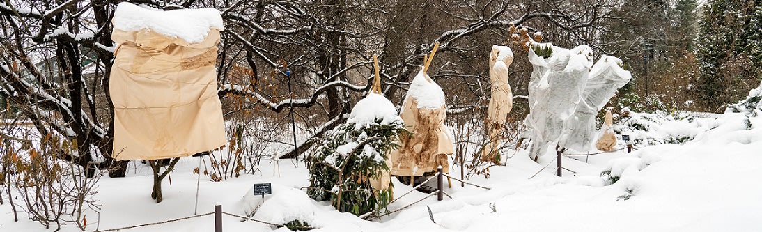 Vinterförvaring & Vinterskydd