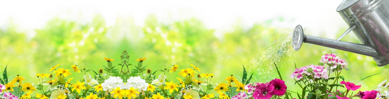 Vattenkannor & Sprayflaskor