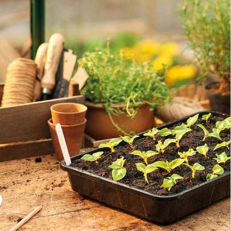 Planteringskrukor & Fiberkrukor