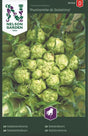 Sallatscikoria 'Puntarelle di Galatina'