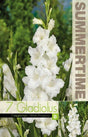 Gladiolus 'White Prosperity' 7st