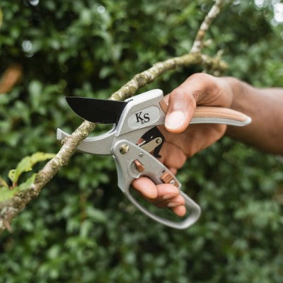 KS Surecut Ratchet Sekatör