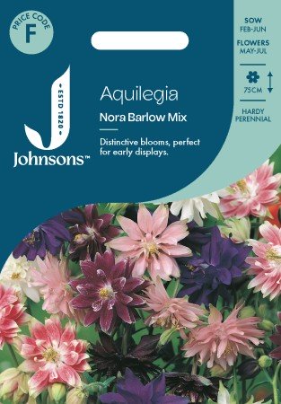 Stjärnakleja 'Nora Barlow' Mix