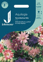 Stjärnakleja 'Nora Barlow' Mix