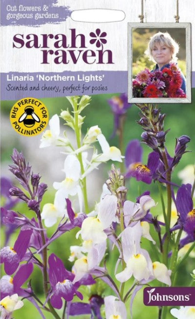 Färgsporre 'Northern Lights'