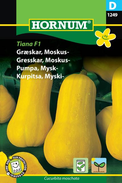 Butternutpumpa 'Tiana' F1 frö