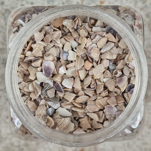 Deco Dekorationssten Shell - 550ml