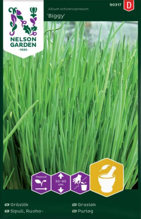 Gräslök 'Biggy' frö
