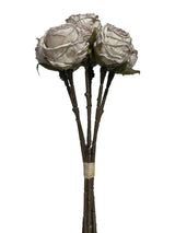 ROSE BUNDLE DRY BEIGE