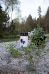 LED Gravljus Dandelion Vit 7x12 cm