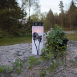 LED Gravljus Dandelion Vit 7x21 cm