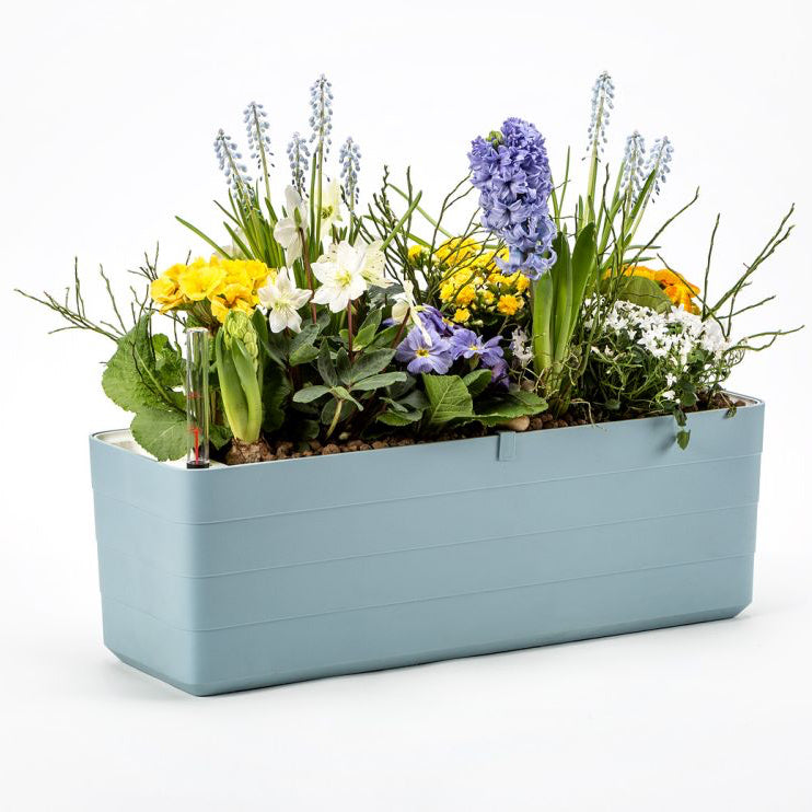 Odlingslåda 'Berberis 40' Grey