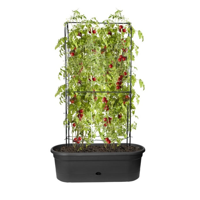 Green Basic Odlningslåda 'Veggie Wall' 80cm Living Black