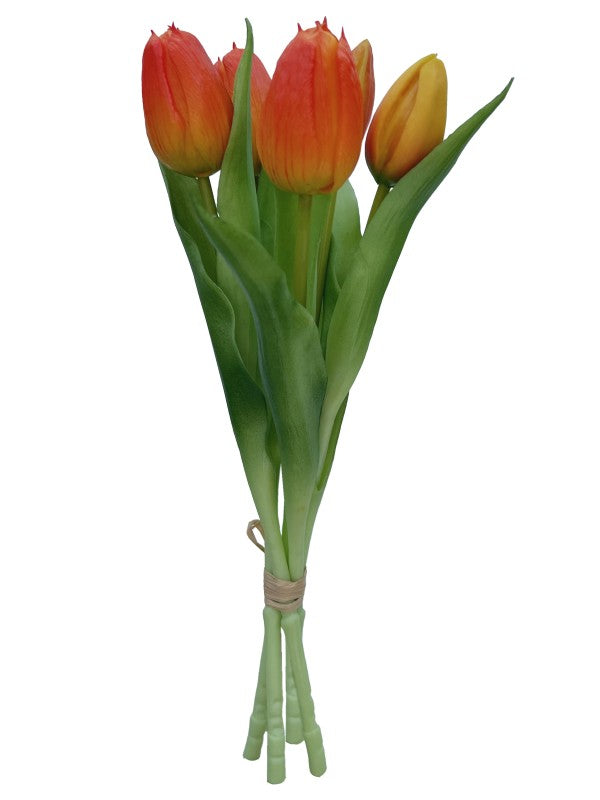TULIP BOUQUET ORANGE