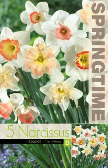 Narcissmix 'Pink Mixed' 5st