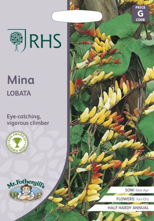 Spanska Flaggan 'Mina Lobata'