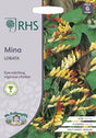 Spanska Flaggan 'Mina Lobata'