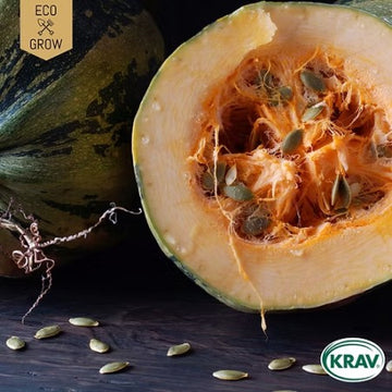 Nakenfröpumpa 'Gleisdorfer' KRAV-märkt