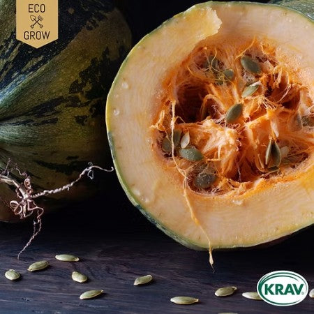 Nakenfröpumpa 'Gleisdorfer' KRAV-märkt