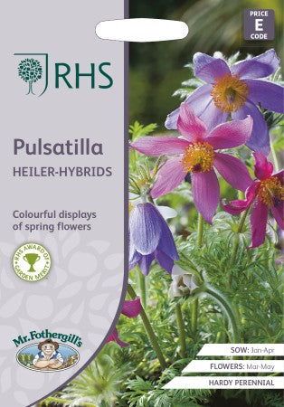 Backsippa 'Heiler Hybrids'