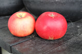 Äpple 'Discovery' E P60 co