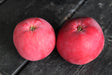 Äpple 'Röd Melba' E B9 co