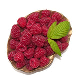 Rubus (Hösthallon) 'Autumn Bliss' E, 10-pack