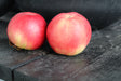 Äpple 'Mio' E A2 co Inkl. Uppbindning