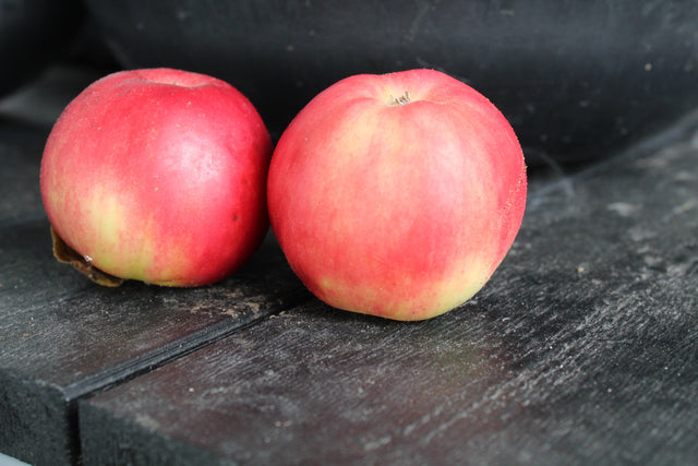 Äpple 'Mio' E A2 co Inkl. Uppbindning