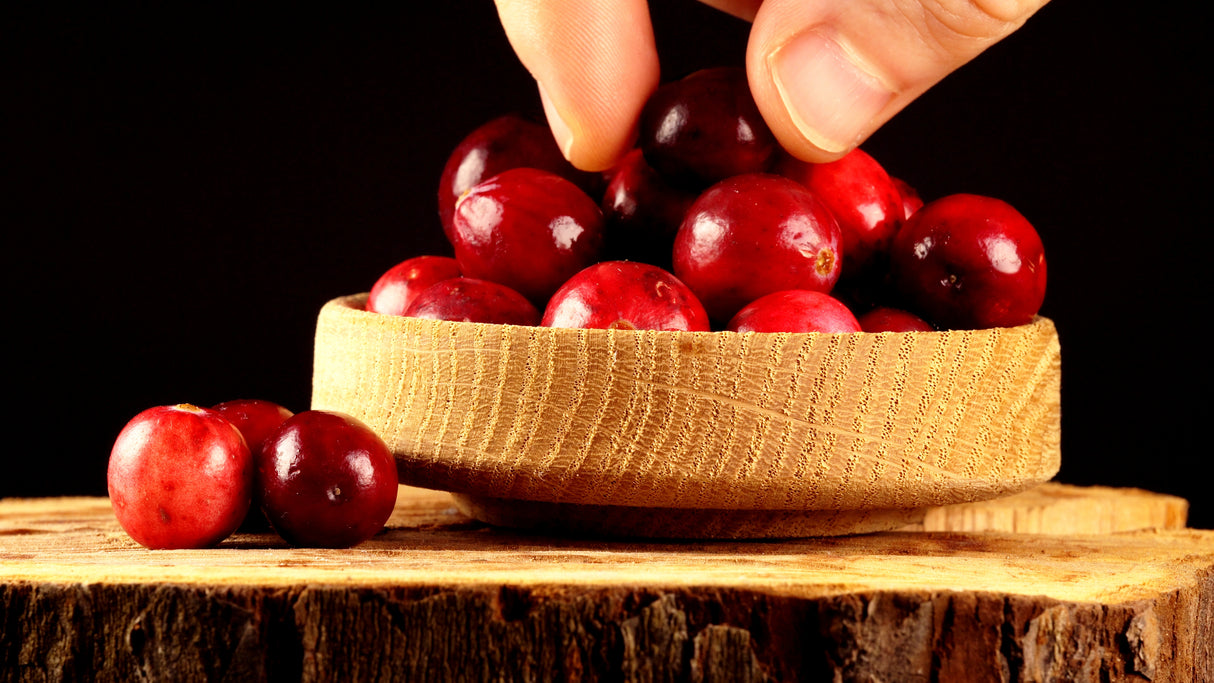 Vaccinium vitis-idaea BALSGÅRD IDA® ('Ida'PBR), 10-pack