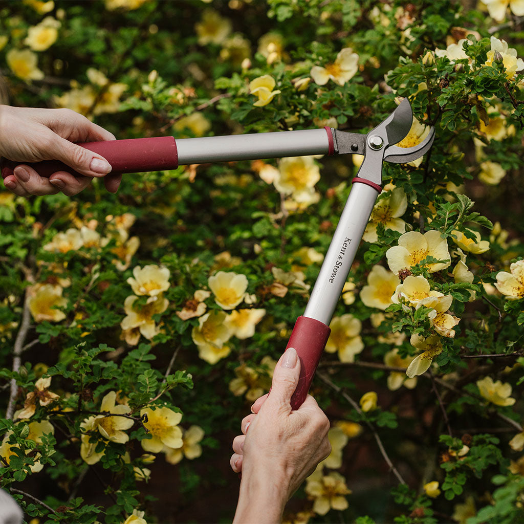 Kent & Stowe 'Garden Life' Bypass Grensax 