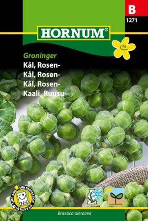 Brysselkål 'Groninger' frö