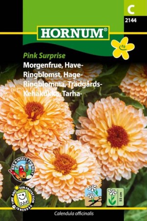 Ringblomma 'Pink Surprise'