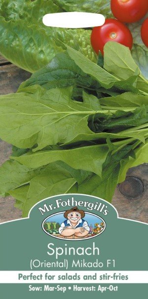 Spenat 'Oriental Mikado' F1