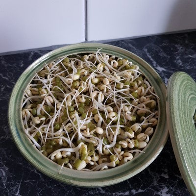 Sproutly: Mungböna EKO 190g