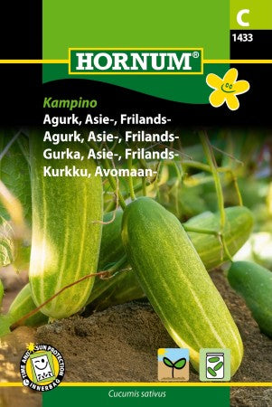 Frilandsgurka Asiegurka 'Kampino'