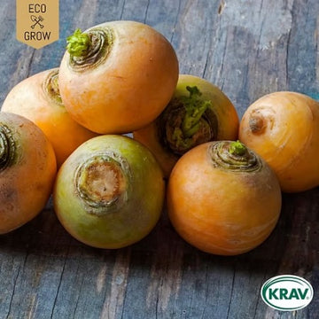Majrova 'Golden Ball' KRAV-märkt