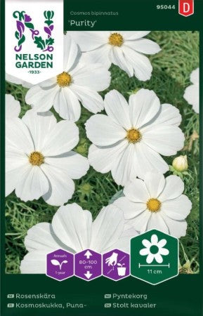 Rosenskära 'Purity'