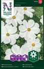 Rosenskära 'Purity'