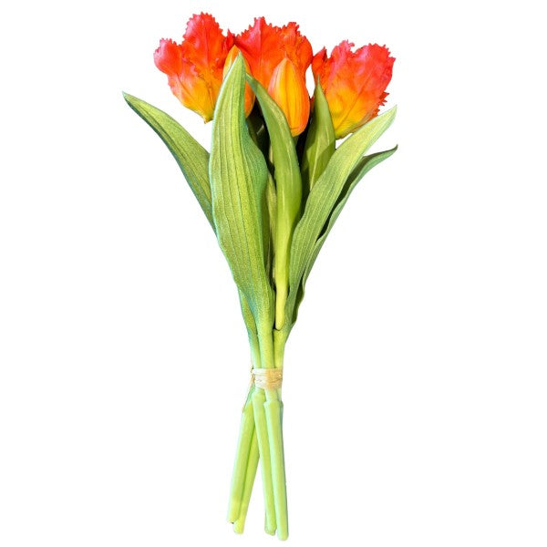 PARROT TULIP BOUQUET-5 ORANGE 30CM