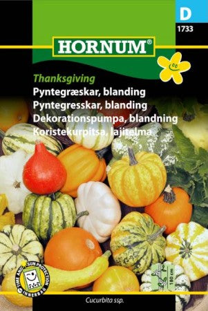 Prydnadspumpa Mix 'Thanksgiving' frö