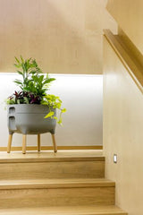 Odlingslåda 'Urbalive Low Planter' Anthracite