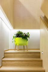 Odlingslåda 'Urbalive Low Planter' Green